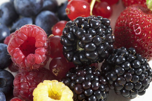 Gelbe und rote Himbeeren (Rubus idaeus), Brombeeren (Rubus sectio Rubus), Erdbeeren (Fragaria), Heidelbeeren (Vaccinium myrtillus), rote Johannisbeeren (Ribes), Studioaufnahme - CSF020071