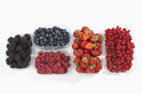 Fünf Plastikschalen mit Himbeeren (Rubus idaeus), Brombeeren (Rubus sectio Rubus), Erdbeeren (Fragaria), Heidelbeeren (Vaccinium myrtillus), Johannisbeeren (Ribes), Studioaufnahme - CSF020076