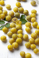 Mirabelles (Prunus domestica subsp. syriaca) on wooden table, studio shot - CSF020089