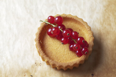 Tartlet with red currants on baking paper, studio shot - CSF020104