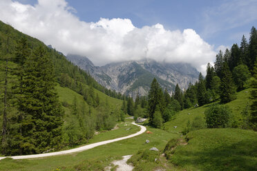 Deutschland, Oberbayern, Klausbachtal, Wanderweg unterhalb der Reiteralpe im Klausbachtal bei der Bindalm, Berchtesgadener Berge - LB000300