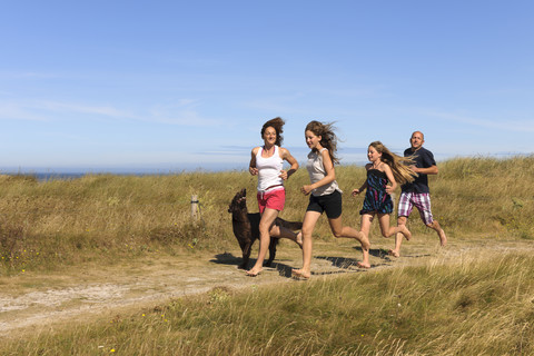 Frankreich, Bretagne, Ste Marguerite, Landeda, Finistre, Eltern und zwei Töchter laufen mit ihrem Hund auf einer Düne am Atlantik, lizenzfreies Stockfoto