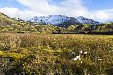 Island, Sudurland, Landmannalauger, Vulkanisches Hochland - STSF000173