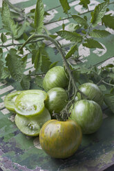 Geschnittene und ganze grüne Zebra-Tomaten (Solanum lycopersicum), Studioaufnahme - CSF020119