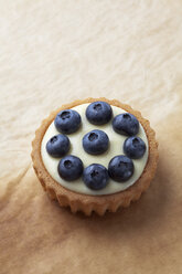 Kuchen mit Vanillepudding und Blaubeeren auf Backpapier, Studioaufnahme - CSF020130