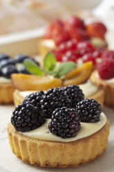 Torten mit Vanillepudding und verschiedenen Früchten, Studioaufnahme - CSF020134