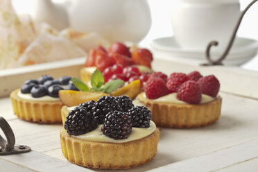 Torten mit Vanillepudding und verschiedenen Früchten, Studioaufnahme - CSF020135