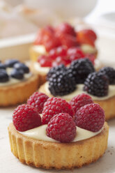Torten mit Vanillepudding und verschiedenen Früchten, Studioaufnahme - CSF020136