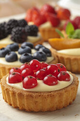 Torten mit Vanillepudding und verschiedenen Früchten, Studioaufnahme - CSF020138