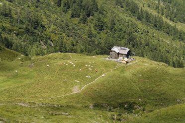Austria, Carinthia, Carnic Alps, Hochweisssteinhaus - SIEF004489
