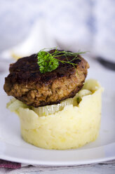 Burger mit Fenchel und Kartoffelpüree - ODF000570