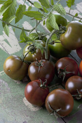 Sardische Tomaten (Solanum lycopersicum), Studioaufnahme - CSF020171