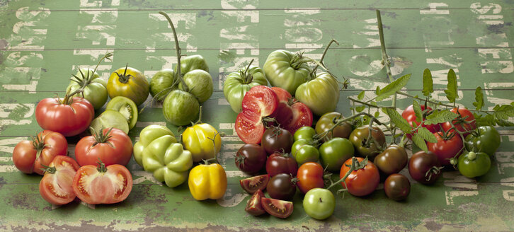 Tomatensorten (Solanum lycopersicum) auf grünem Holz, Studioaufnahme - CSF020169