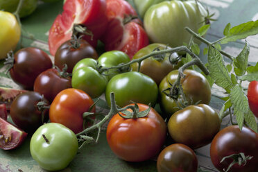 Tomatensorten (Solanum lycopersicum) auf grünem Holz, Studioaufnahme - CSF020167