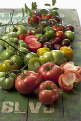 Viele Tomatensorten (Solanum lycopersicum) auf grünem Holz, Studioaufnahme - CSF020166