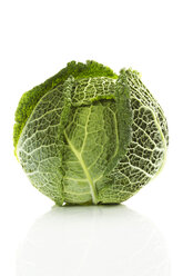 Savoy cabbage - MAEF007308