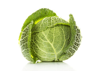 Savoy cabbage - MAEF007309