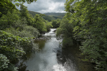 Großbritannien, Wales, Gwynedd, Fluss LLugwy im Snowdonia National Park - ELF000515