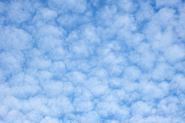 Deutschland, Baden-Württemberg, blauer Himmel mit Cirrocumuluswolken - ELF000521