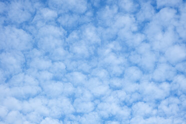 Germany, Baden-Wuerttemberg, blue sky with cirrocumulus clouds - ELF000521