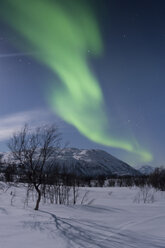 Norwegen, Provinz Troms, Blick auf Aurora Borealis - PA000043