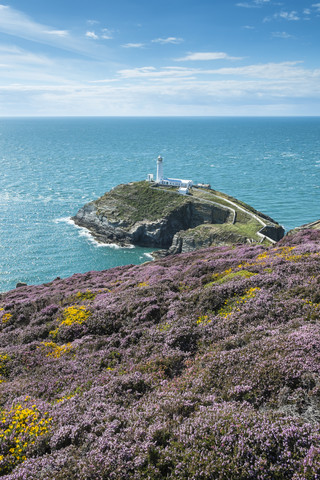 UK, Wales, Anglesey, Holy Island, Steilküste von South Stack mit Leuchtturm, lizenzfreies Stockfoto