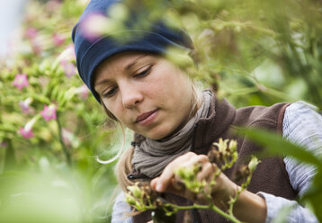 Austria, Schiltern, Alternative gardener at tobacco plant - DIS000096