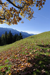 Deutschland, Bayern, Garmisch-Partenkirchen, Werdenfelser Land, Blick von der Elmauer Alm - LB000329