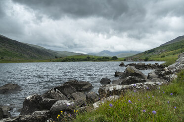 UK, Wales, Lake Llynnau Mymbyr in Snowdonia National Park - ELF000547