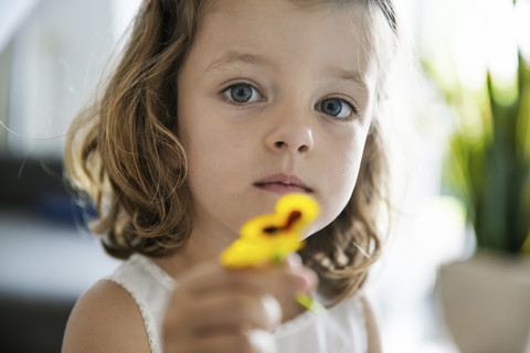 Little girl holding pansy blossom in her hand, close-up stock photo