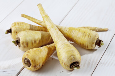 Parsnips (Pastinaca sativa) on white wooden table, studio shot - CSF020177