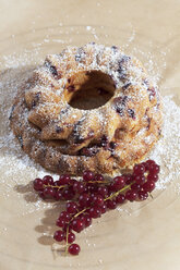 Red currant cheesecake with powdered sugar and red currants on baking paper, studio shot - CSF020197