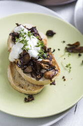 Gebratene Waldpilze auf geröstetem Ciabatta mit saurer Sahne und Kresse, Studioaufnahme - STB000097