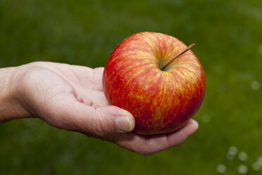 Hand with apple - WIF000144