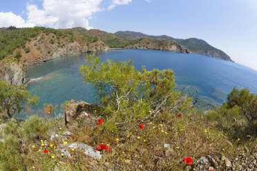 Türkei, Lykien, Olympos-Nationalpark, Blick über die Küste - SIEF004532