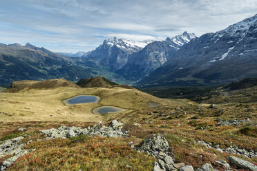 Schweiz, Berner Oberland, Blick vom Mähnlichen nach Grindelwald, Berner Alpen - ELF000555