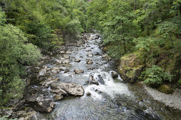 Great Britain, Wales, Aberglaslyn Gorge, Afon Glaslyn river in Snowdonia National Park - ELF000560