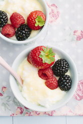 Vanillepudding mit Eischnee und frischen Früchten - ECF000368