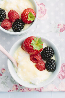 Vanillepudding mit Eischnee und frischen Früchten - ECF000368