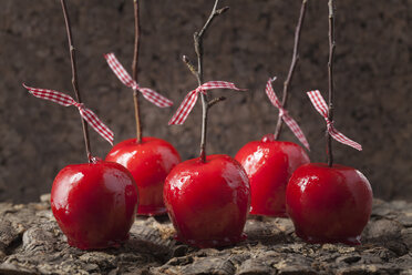 Candied apples with branches as stick - ECF000377