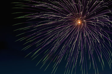 Fireworks exploding in the sky at night - KJF000273
