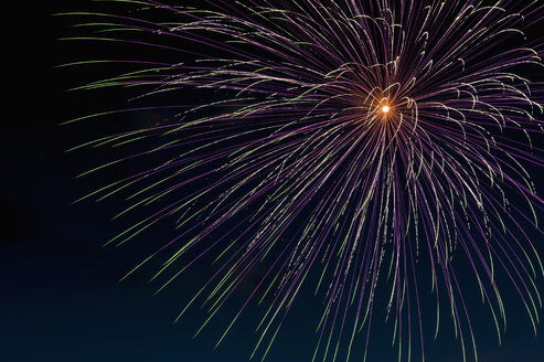 Fireworks exploding in the sky at night - KJF000273