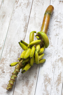 Bananenbaum (Musa paradisiaca) auf weißem Holztisch, Studioaufnahme - CSF020234