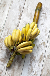 Bananenbaum (Musa paradisiaca) auf weißem Holztisch, Studioaufnahme - CSF020235
