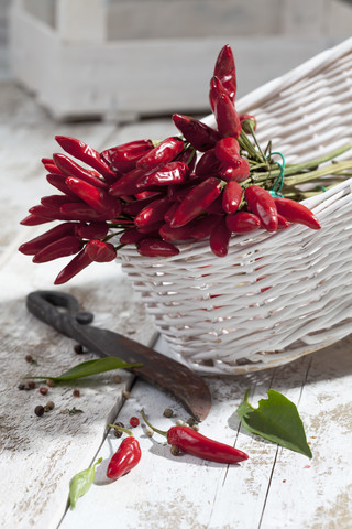 Rote Chilischoten (Capsicum) in weißem Korb auf weißem Holztisch, Studioaufnahme, lizenzfreies Stockfoto