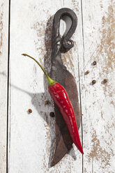 Rote Chilischote (Capsicum) und ein altes Messer auf weißem Holztisch, Studioaufnahme - CSF020241