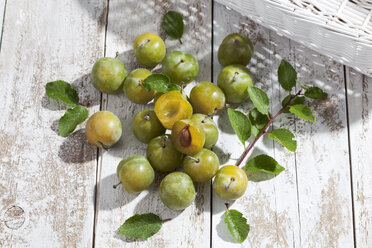 Sliced and whole greengages (Prunus domestica subsp. italica var. claudiana) on white wooden table, studio shot - CSF020242