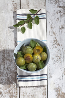 Geschnittene und ganze Grünlinge (Prunus domestica subsp. italica var. claudiana) in einer Schale auf einem weißen Holztisch, Studioaufnahme - CSF020245