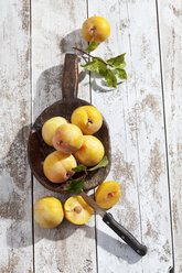 Aufgeschnittene und ganze gelbe Zwiebeln (Prunus domestica subsp. italica) und ein Holzlöffel auf einem weißen Holztisch, Studioaufnahme - CSF020247