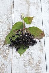 Elderberries (Sambucus) with leaves on white wooden table, studio shot - CSF020255